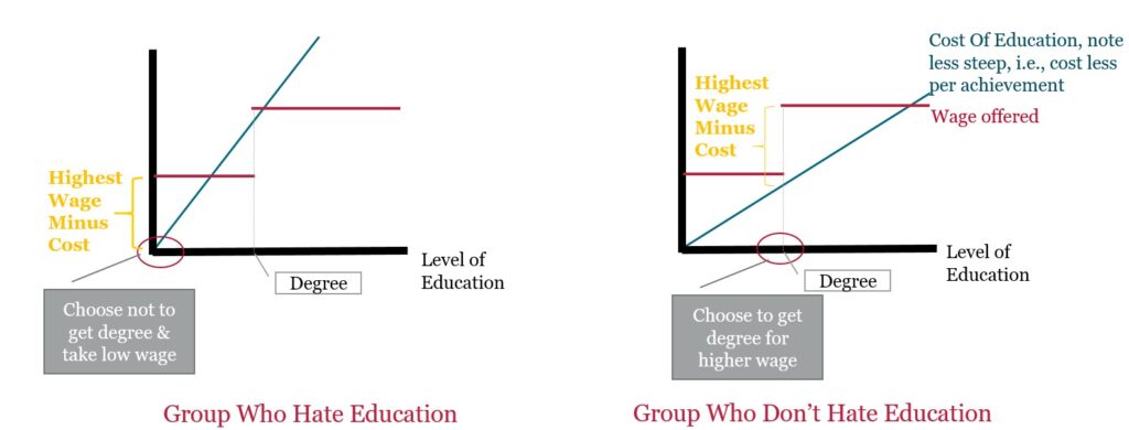 Signal And Education