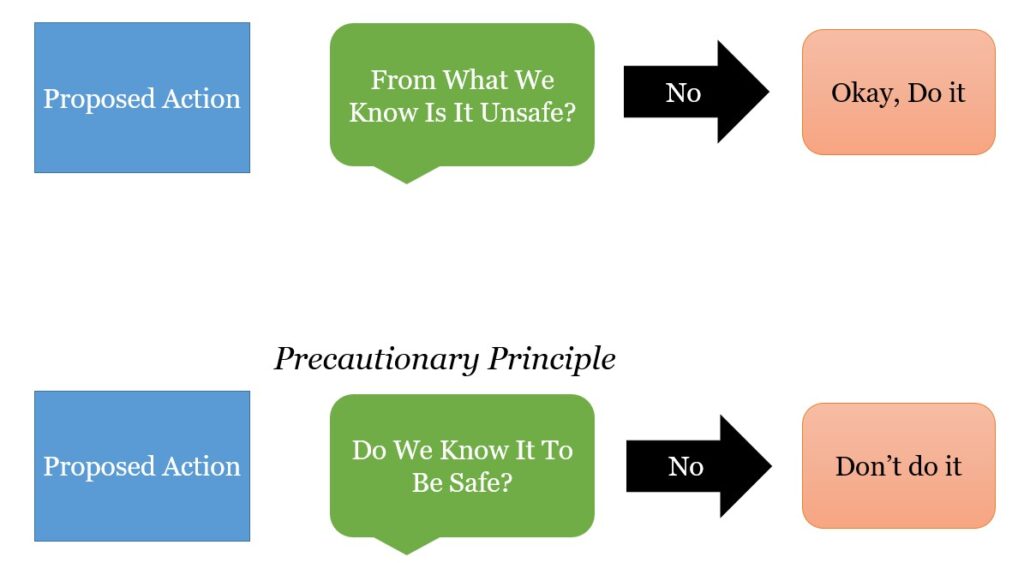 The Precautionary Principle