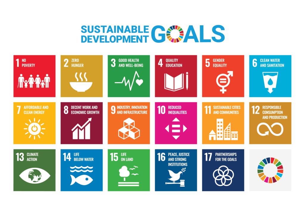 The UN SDGS