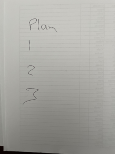 Detailed Plan Please